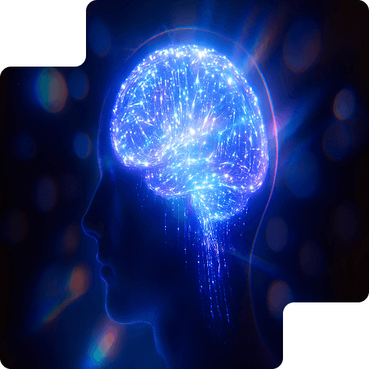 Transformation visualization